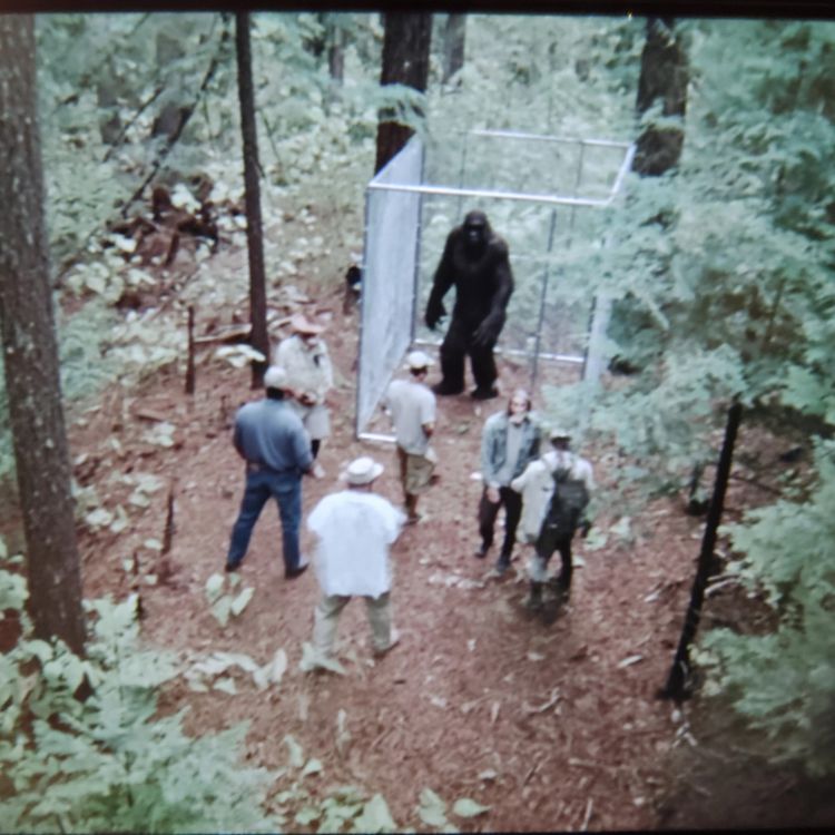 cover art for Navy SEALS Finally Spill the Beans on NEW SPECIES in APPALACHIAN MOUNTAINS