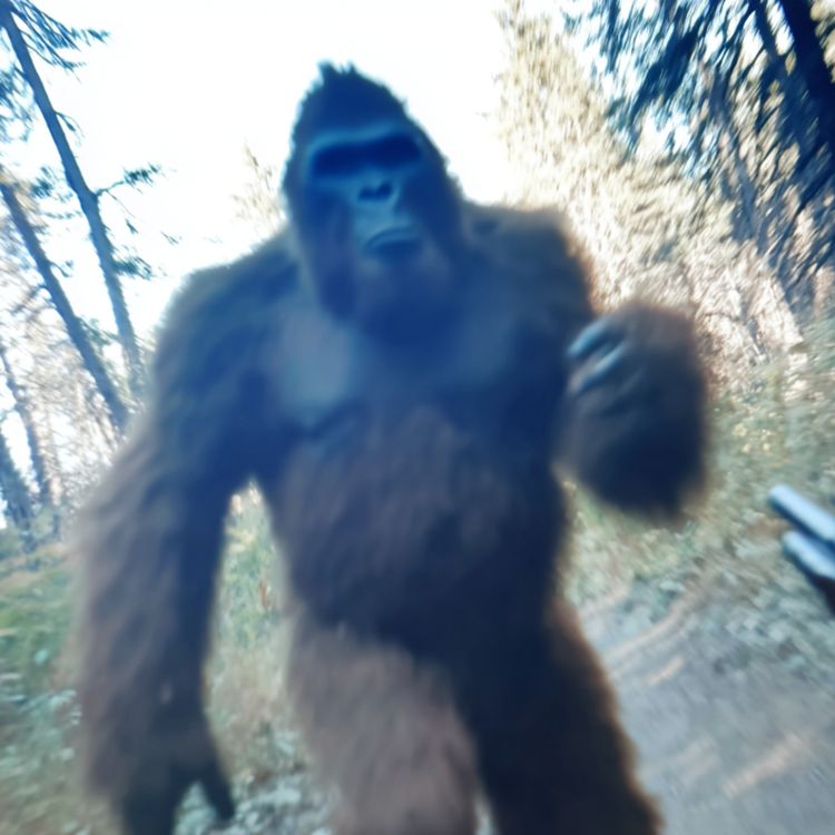 cover art for U.S Government Hired Us To Kill These Creatures. What We Found in Alaska Shouldn’t Exist