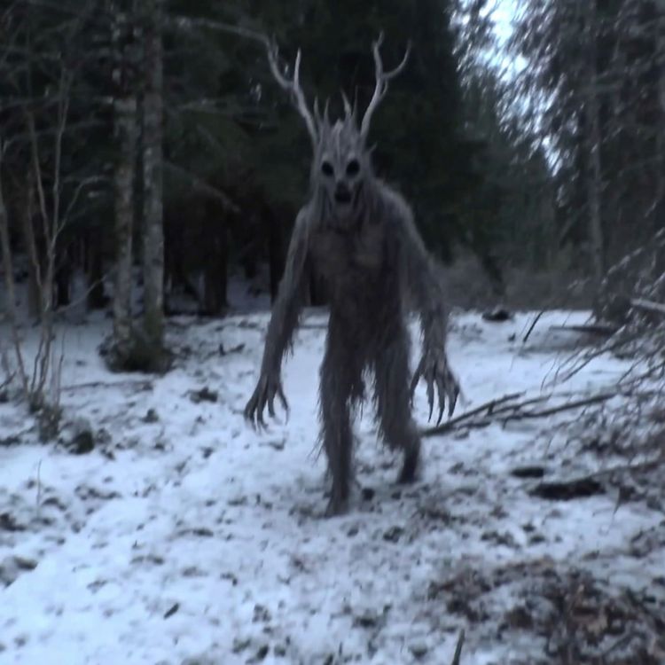 cover art for U.S Navy SEALS Spills the Beans about Creatures They ENDED In North Carolina Mountains