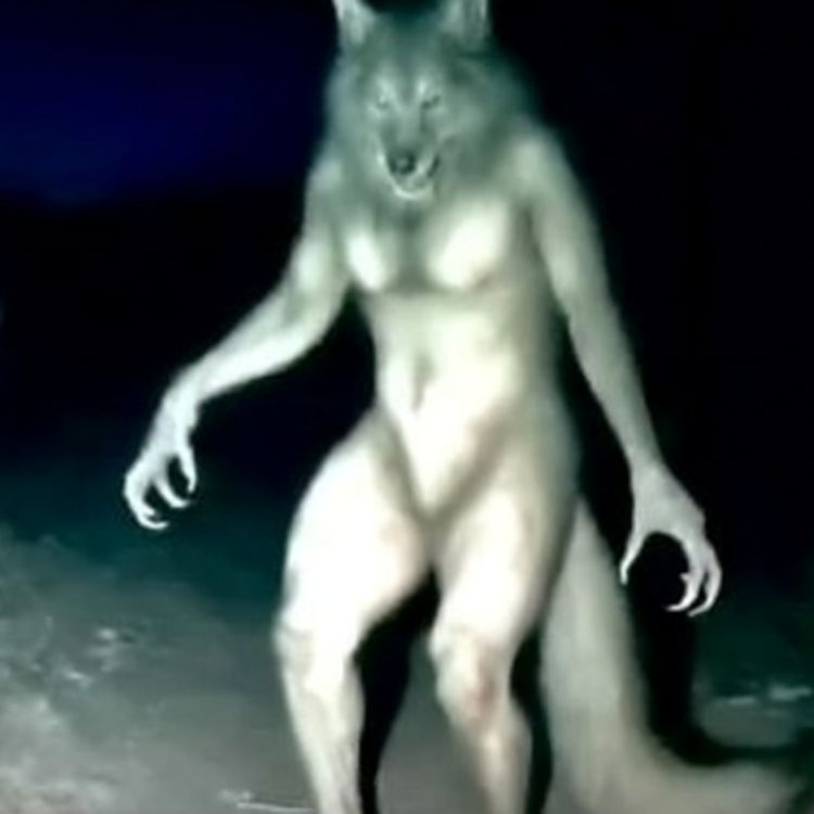 cover art for I Am A MONSTER Hunter, There Are STRANGE RULES To Follow