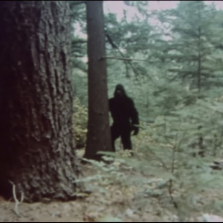 cover art for Navy SEAL WARNS. These CREATURES Have Infested Our National Forests and Parks