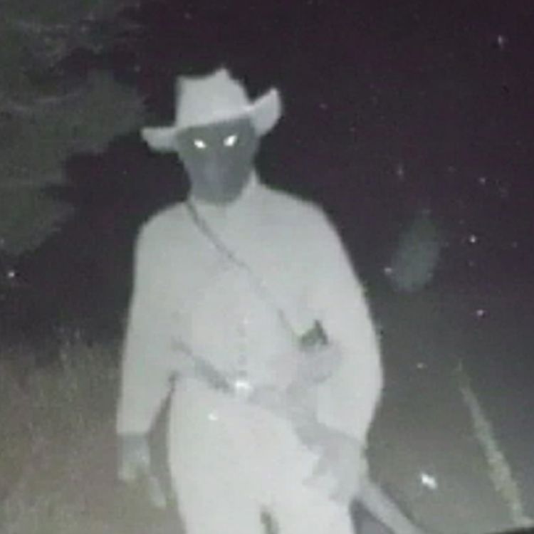 cover art for Navy SEALS Finally Spill the Beans on NEW SPECIES in our National Parks