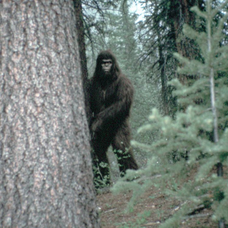 cover art for ALIENS UNDER THE WATER. A Fisherman’s Lake Michigan Nightmare