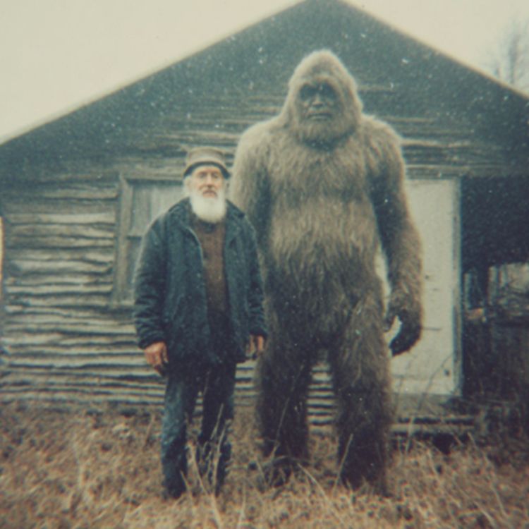 cover art for THIS Is Why Hikers Are Afraid of PACIFIC NORTHWEST