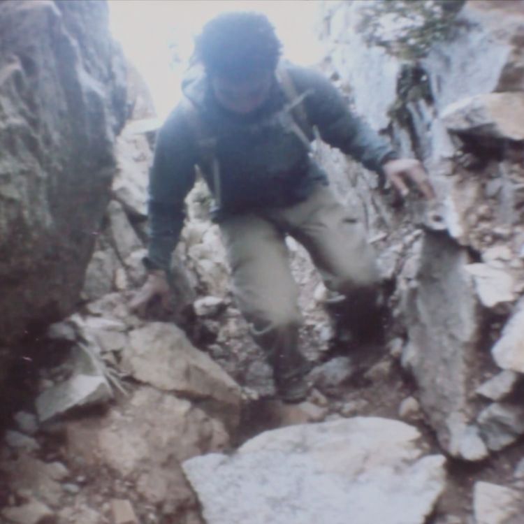 cover art for Park Ranger Spill the Beans on What's Going on in Yellowstone