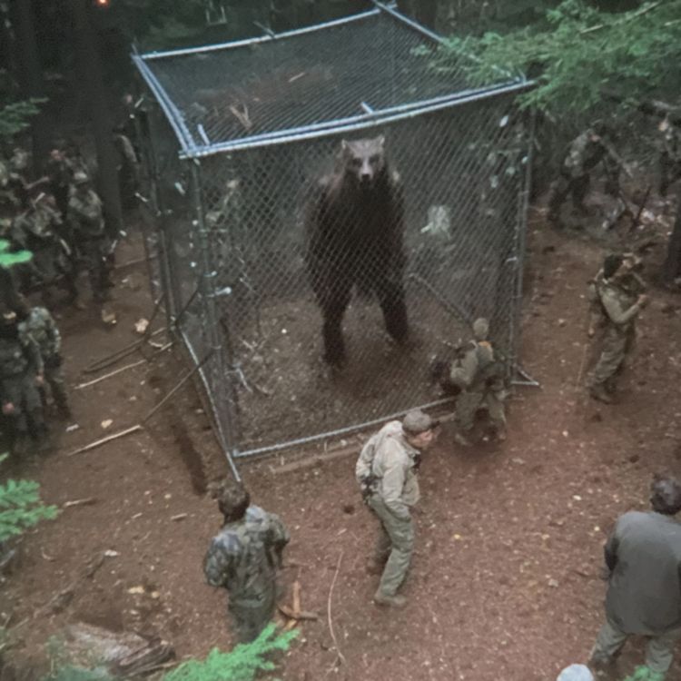 cover art for The Most Disturbing Discovery in the Blue Ridge Mountains History