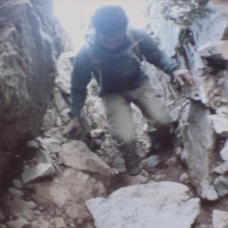 cover art for US Navy SEALS Spills the Beans Of Creatures They ENDED In North Carolina Mountains