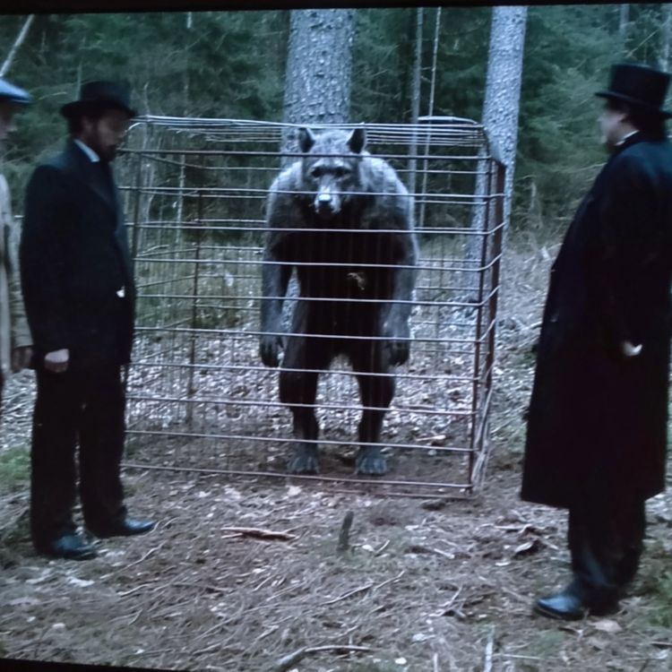 cover art for U.S Gov't Finally ADMITS What's In National Parks