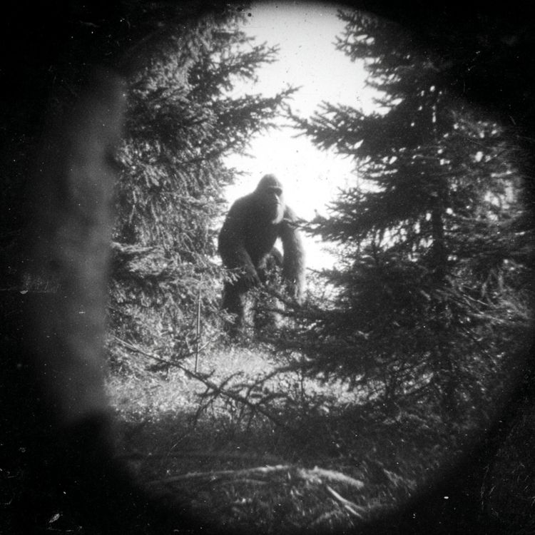 cover art for U.S Navy SEAL WARNS US. These THINGS Are ELIMINATING Us in the North Carolina