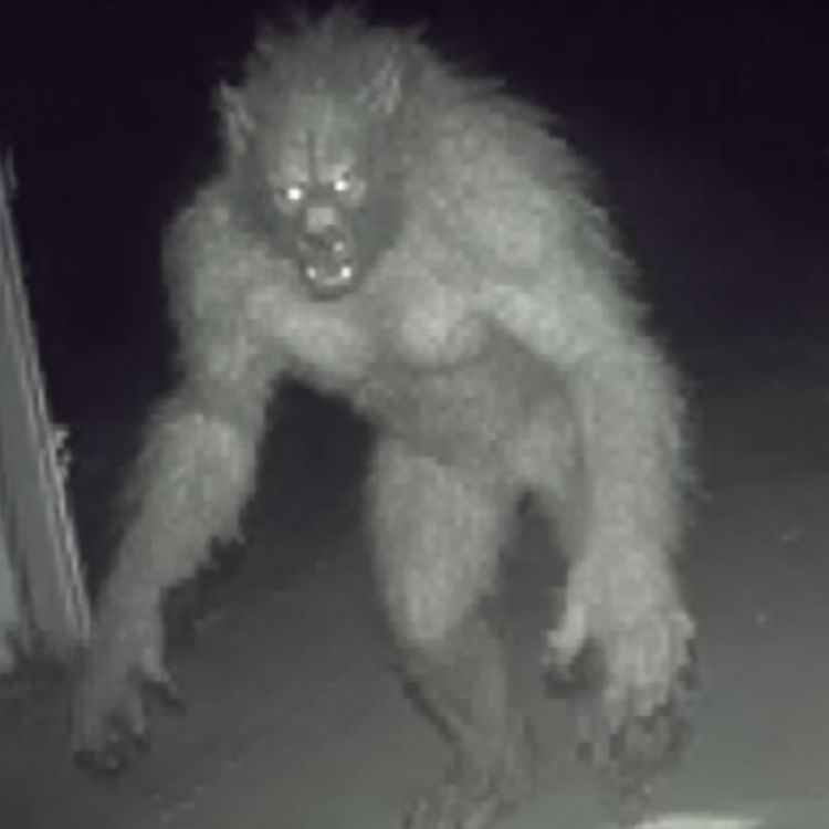 cover art for NEW Evidence of a CREATURE in the North Carolina Mountains