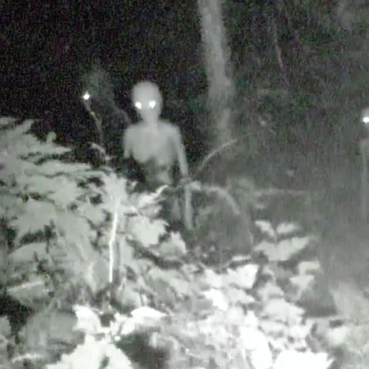 cover art for U.S Navy SEAL Warns Of NEW SPECIES