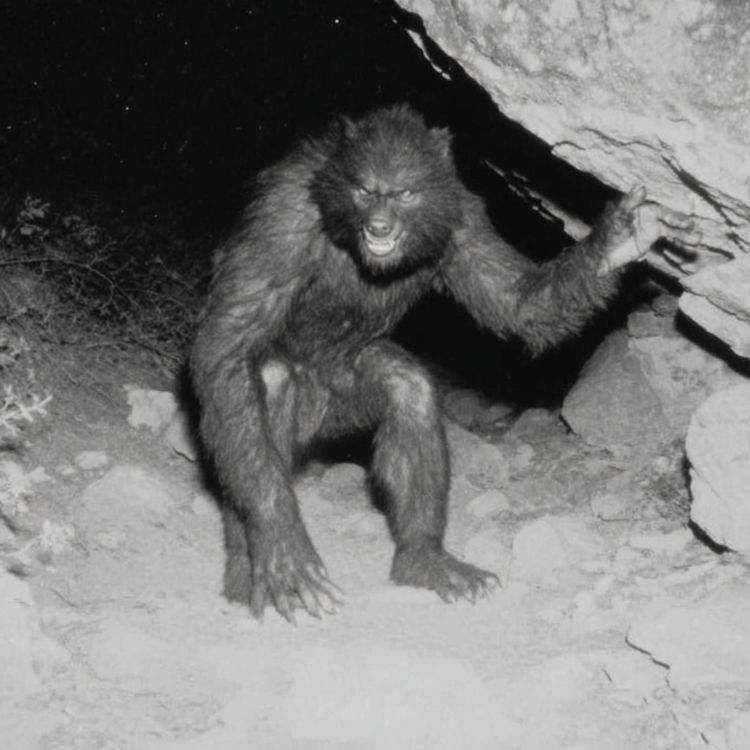 cover art for U.S Navy SEAL: FERAL PEOPLE Are REAL And They’re LIVING in ALASKA Wilderness