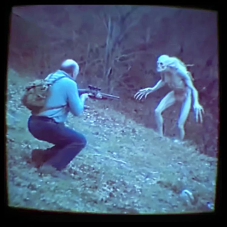 cover art for Park Rangers Finally Spill the Beans on DEADLY CREATURES in our National Parks