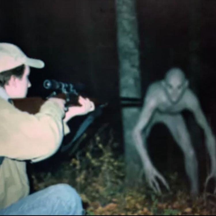 cover art for U.S Navy SEAL: SOMETHING Is Going On In The North Carolina Mountains