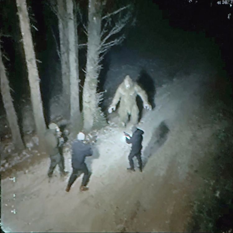 cover art for Park Ranger WARNS US. Stay Far Away From the APPALACHIAN Mountains