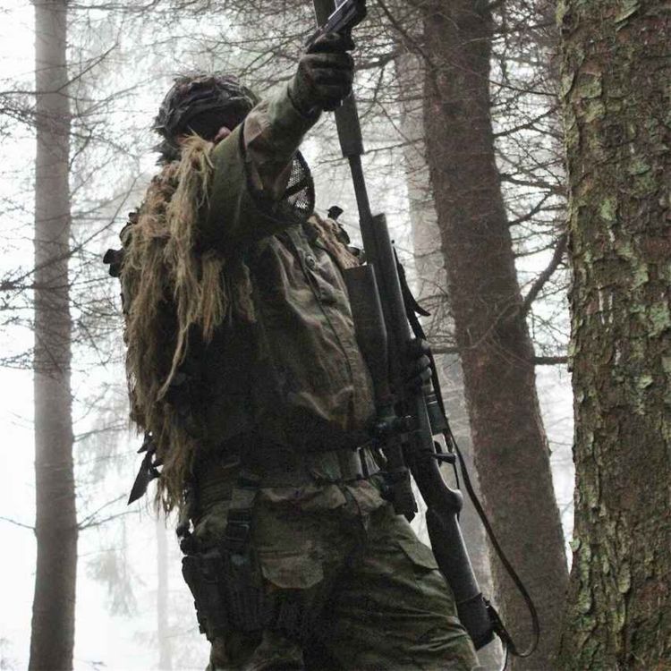 cover art for 3 Park Rangers Set Up Trail Cameras in Appalachians. Something Stared Into Every Single