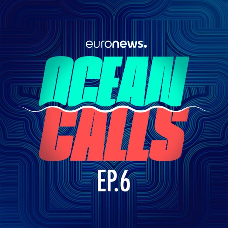 cover art for Can we protect our high seas?