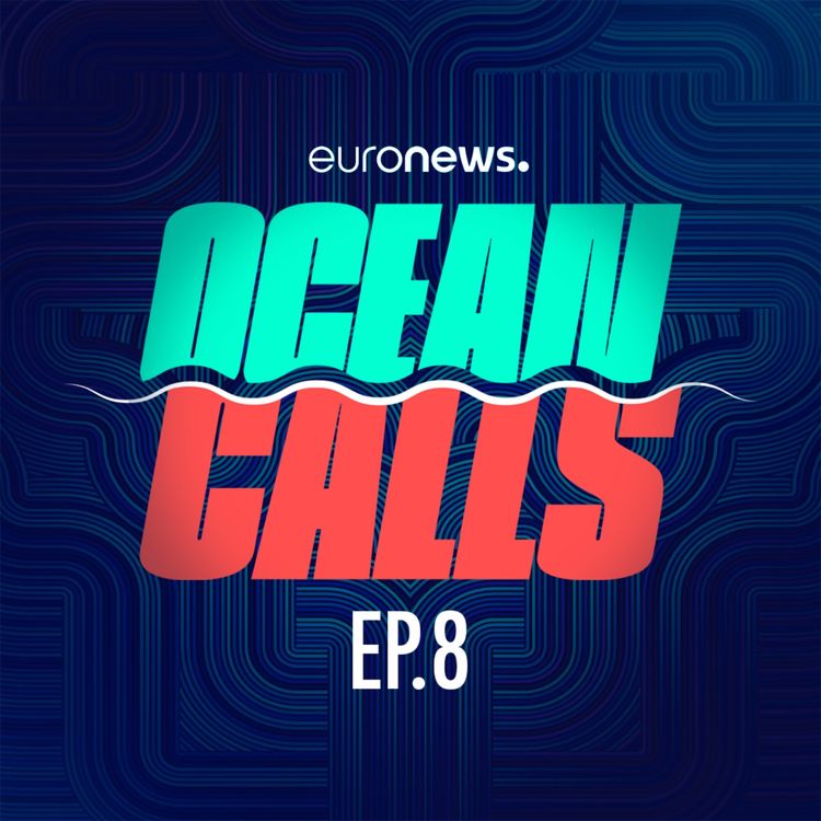 cover art for Can we restore our oceans?