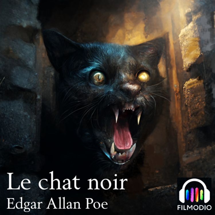 cover art for Le chat noir teaser