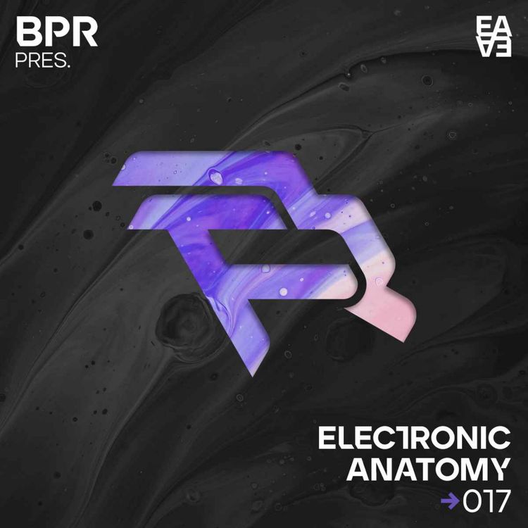 cover art for Electronic Anatomy 017