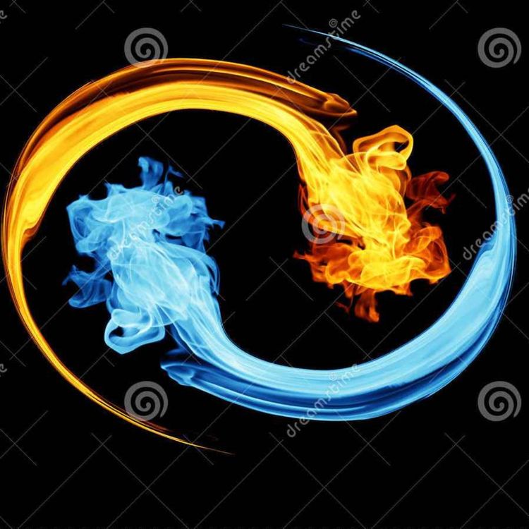 cover art for The Test Test