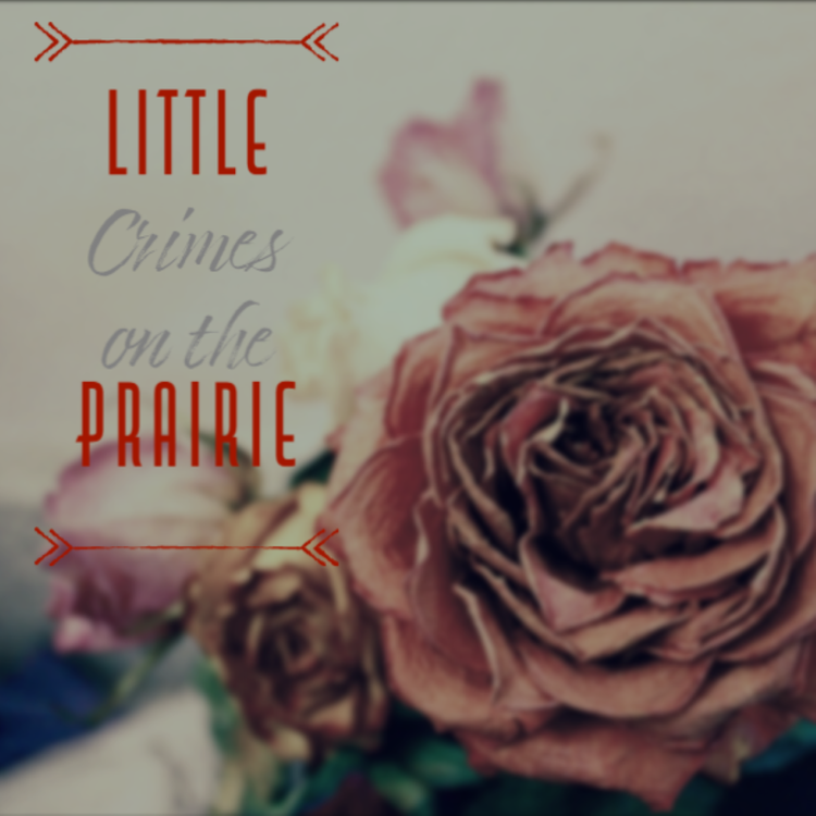 cover art for Episode #109 - Fate of Fortune Part #2 - Gaston Means