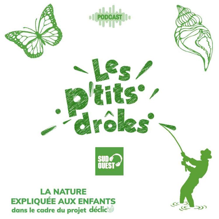 cover art for Les feux de forêt