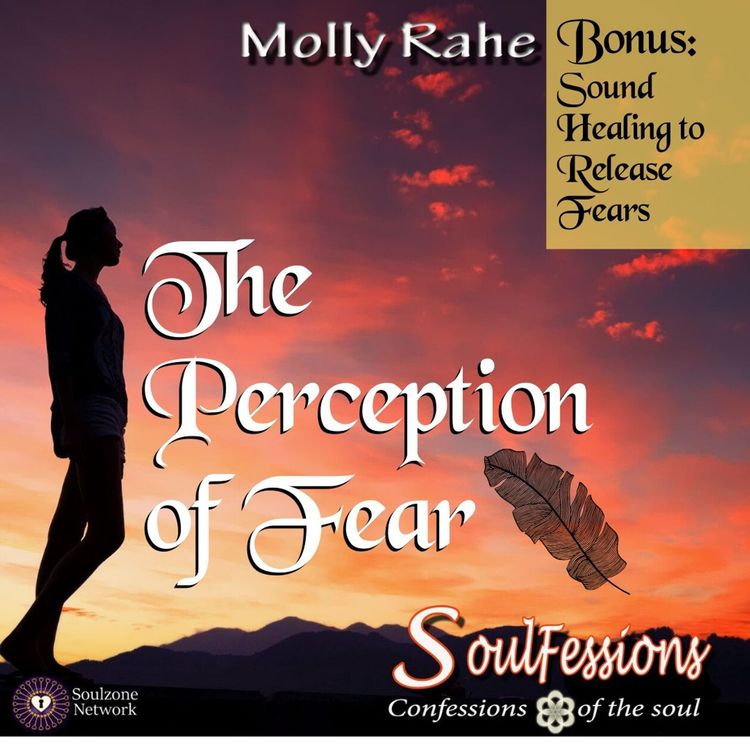 cover art for The Perception of Fear