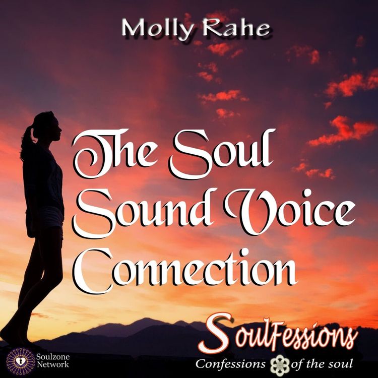 cover art for The Soul Sound Voice Connection
