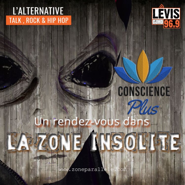 cover art for Zone Insolite - 25 février 2023