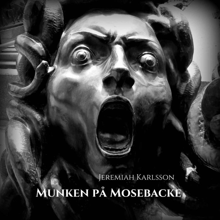 cover art for En förbittrad dam på Södermalm
