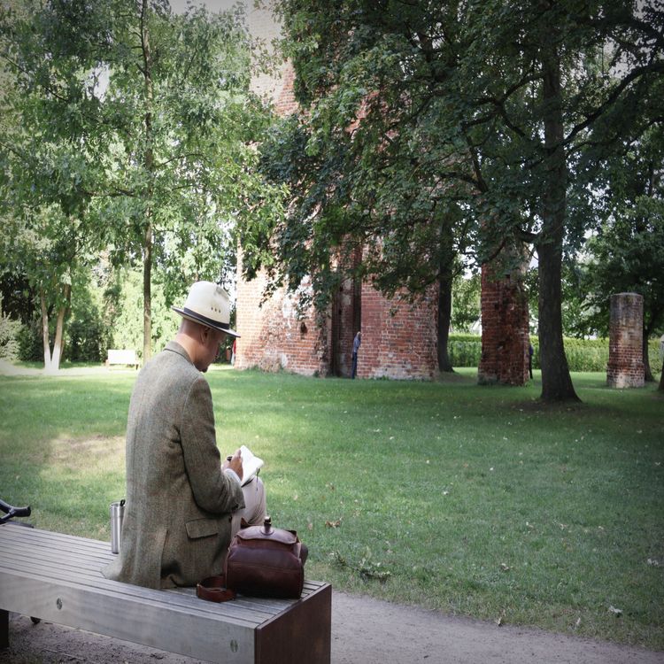 cover art for Det dåliga samvetets moder