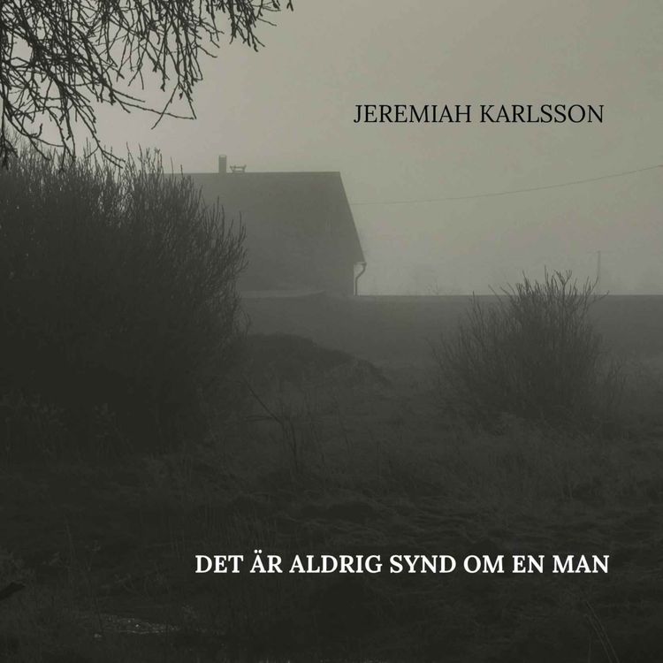 cover art for Det är aldrig synd om en man