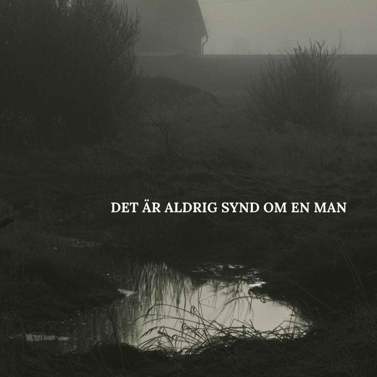 cover art for "Svårt att upprätthålla illusioner om meningen i mitt liv"