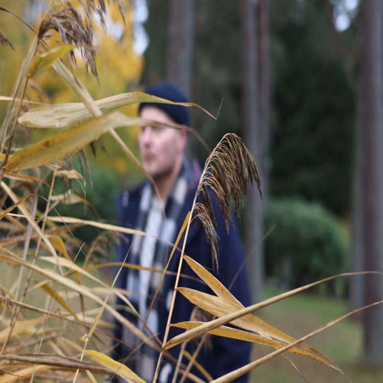 cover art for Svensk svit