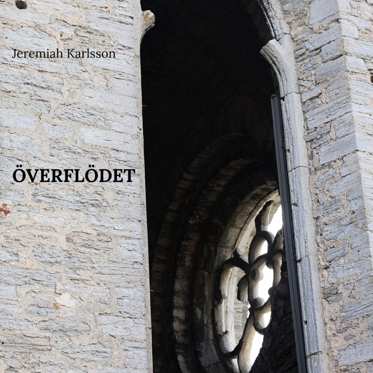 cover art for Mitt flöde är livsfientligt