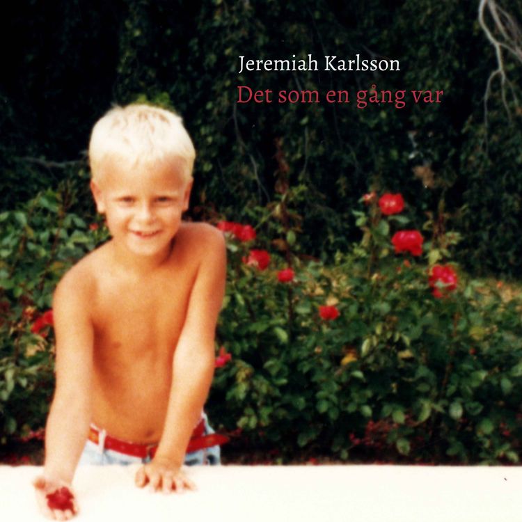 cover art for En natt vaknar han plötsligt som stjärnskott
