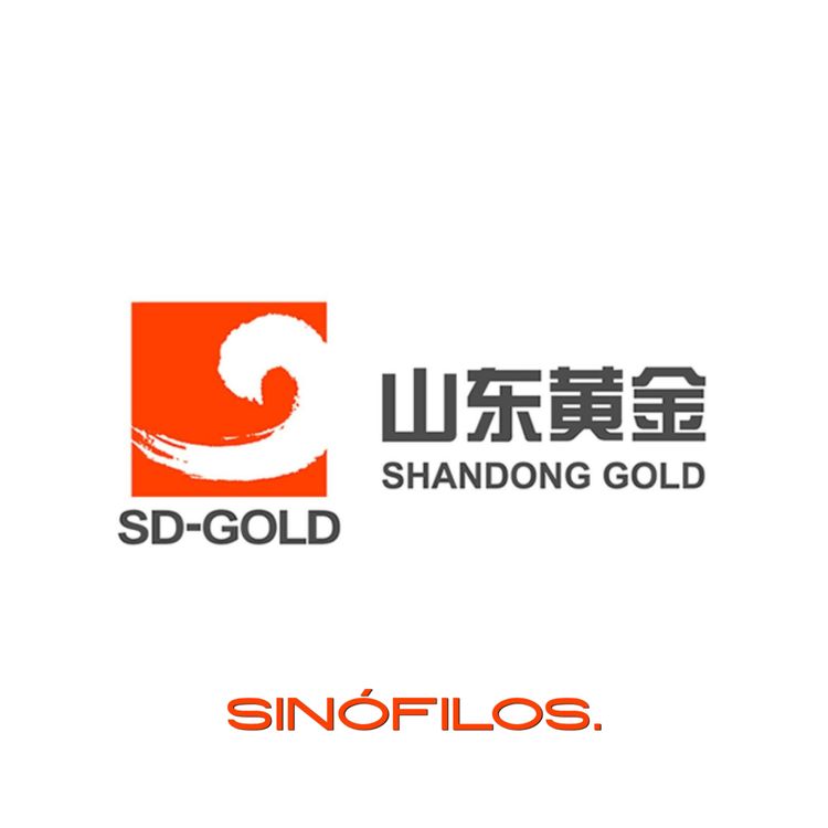 cover art for SHANDONG GOLD 山东黄金