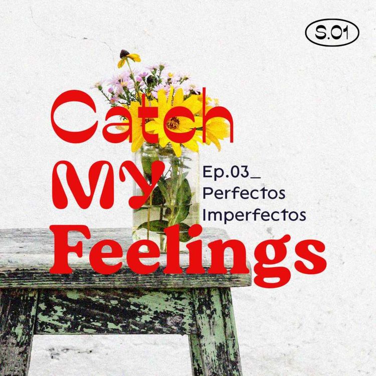 cover art for EP.03 Perfectos imperfectos
