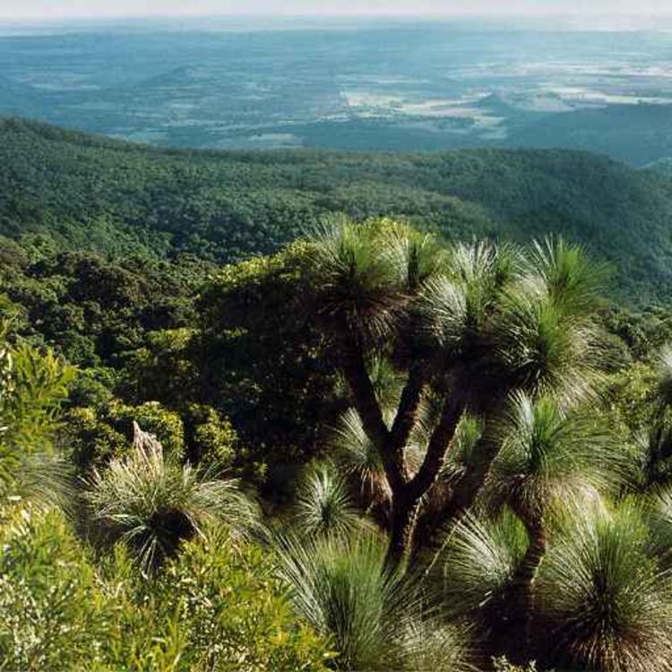 cover art for A day in the Mountains