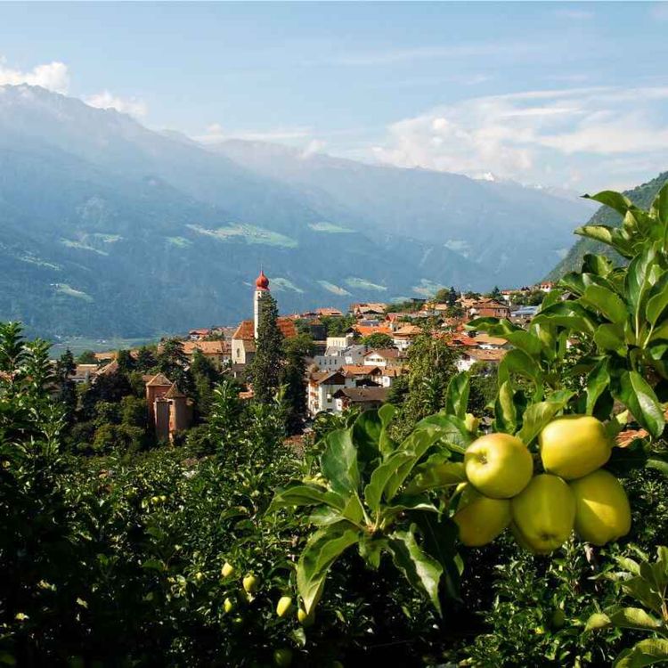 cover art for A Summer Day in Italy´s Mountains