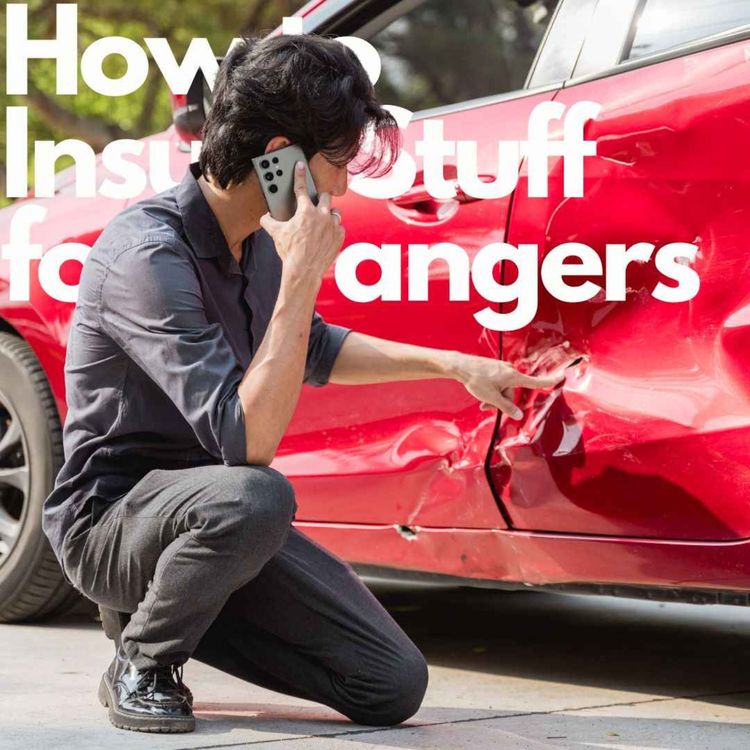 cover art for How to insure stuff for strangers, with Stan Ng