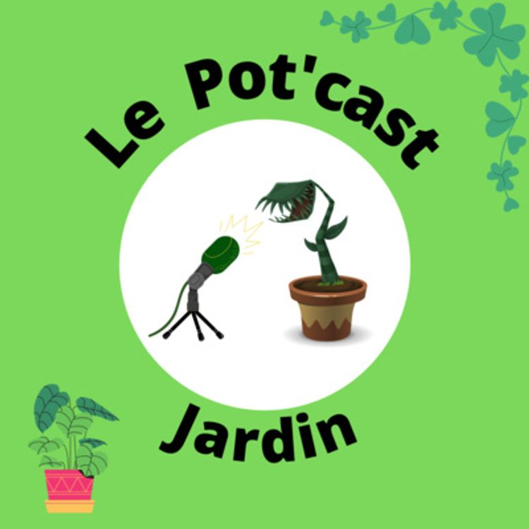 cover art for Corinne du Potager Bio Créatif, un jardin à flanc de colline