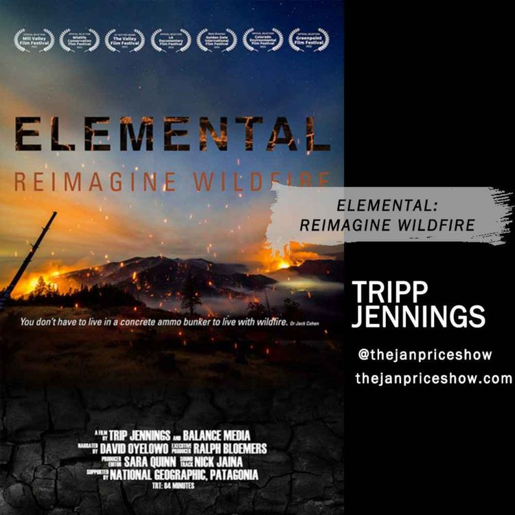 cover art for Tripp Jennings - Elemental: Reimagine Wildfire