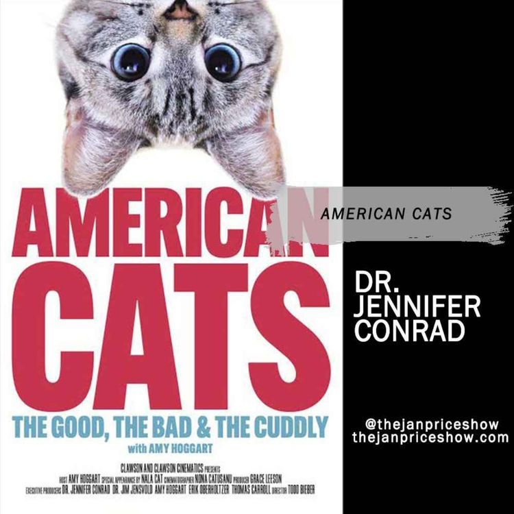 cover art for American Cats Exposé: Dr. Jennifer Conrad & Amy Hoggart on Declawing Truths