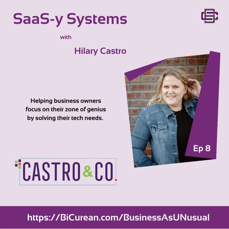 cover art for SaaS-y Systems with Hilary Castro