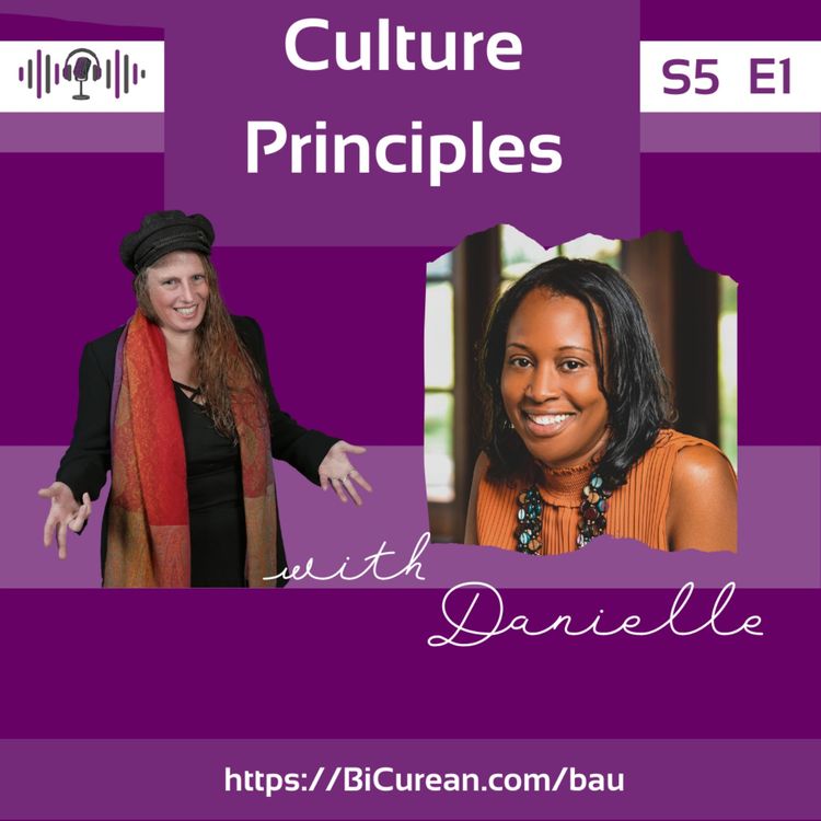 cover art for Culture Principles