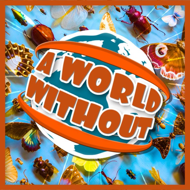 cover art for A World Without... Insects