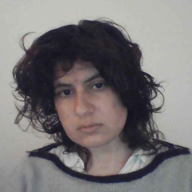 cover art for On Balancing the Dopamine/Serotonin Levels.