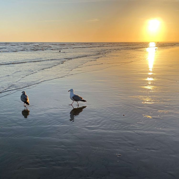 cover art for Relaxation on the Beach Episode 12